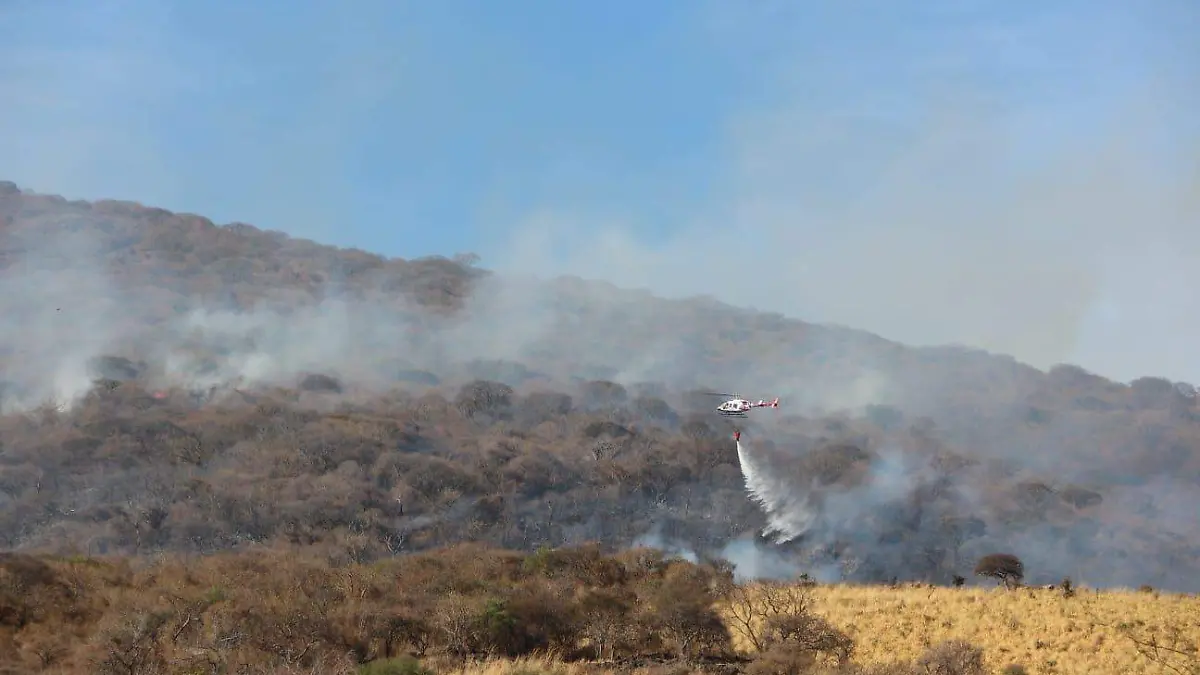 Combate incendio Cerro Totoltepec en Tlajomulco